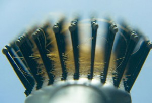 photolibrary_rf_photo_of_hairs_in_brush